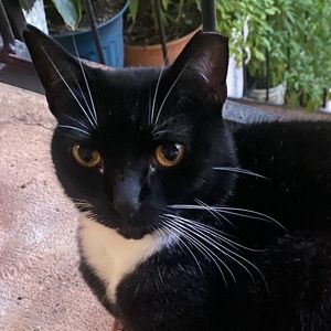 Meet your Posher, Ror